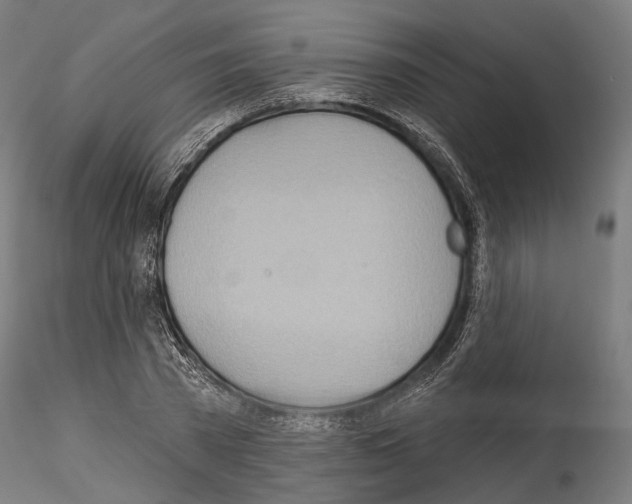 X0000114570785200911301310