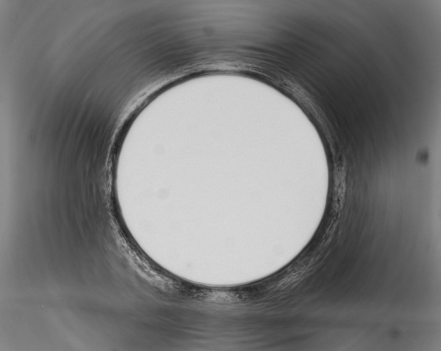 X0000114570787200911301310