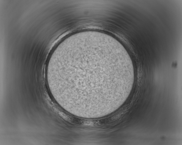 X0000114570790200911301310