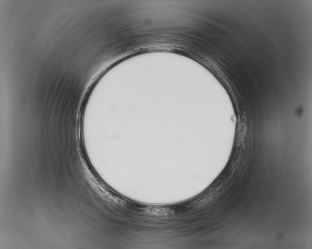 X0000114570795200911301310