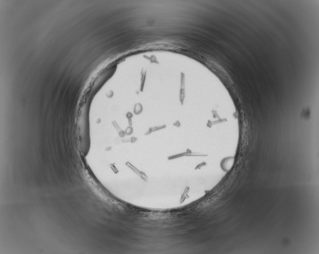 X0000114570800200911301310