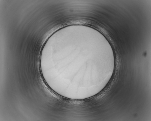 X0000114570802200911301310