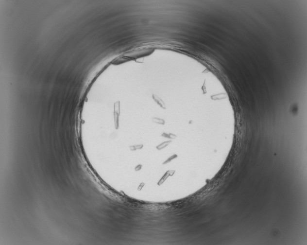 X0000114570804200911301310