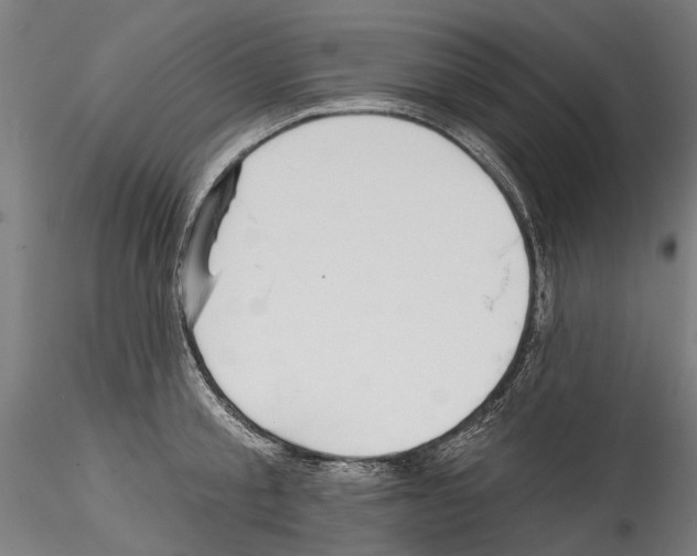 X0000114570805200911301310