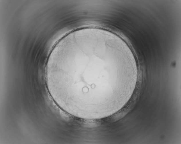 X0000114570807200911301310