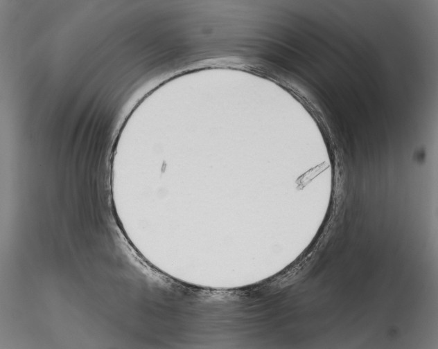 X0000114570808200911301310