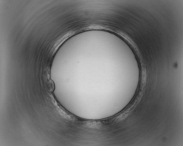 X0000114570809200911301310