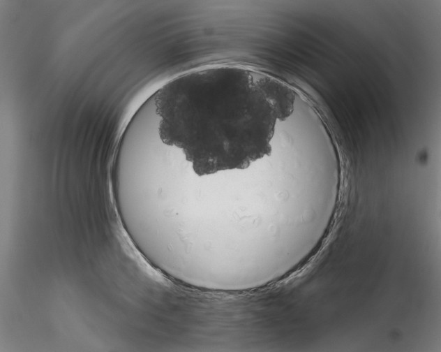 X0000114570812200911301310