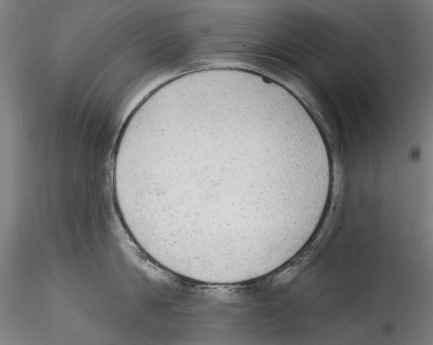 X0000114570814200911301310