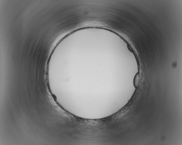 X0000114570815200911301310