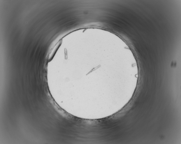 X0000114570816200911301310