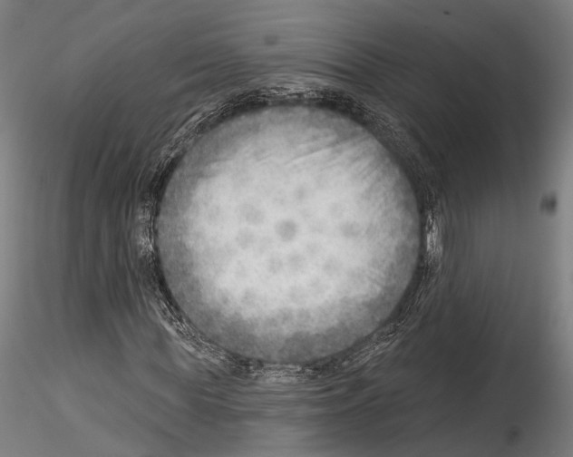 X0000114570819200911301309