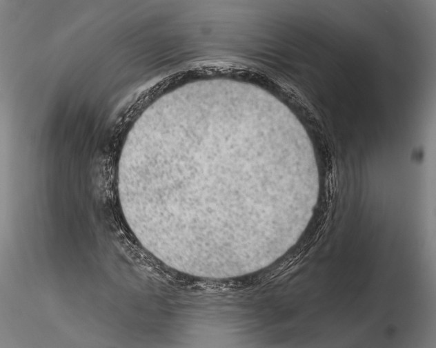 X0000114570822200911301309