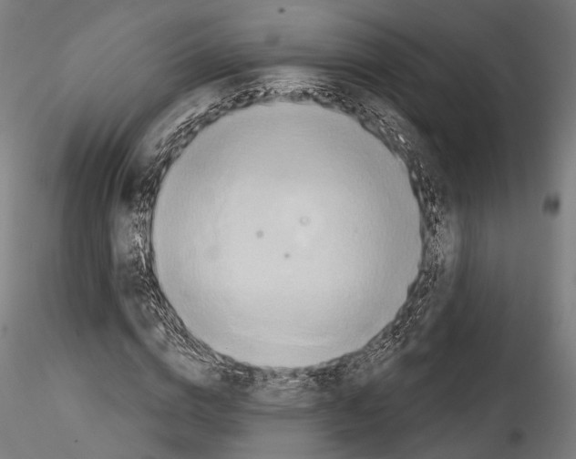 X0000114570824200911301309