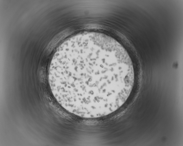 X0000114570825200911301309