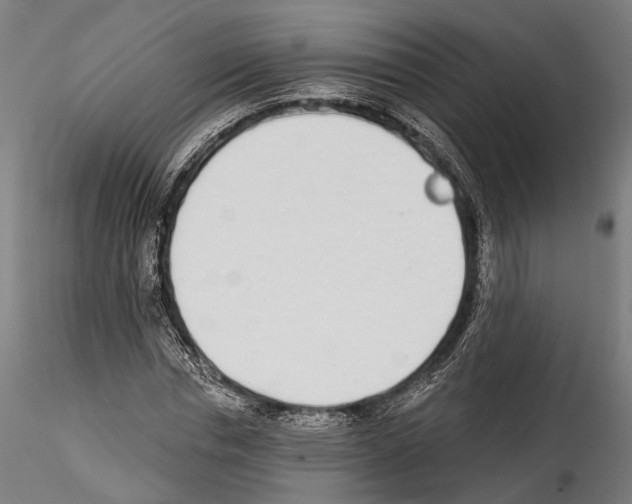 X0000114570826200911301309