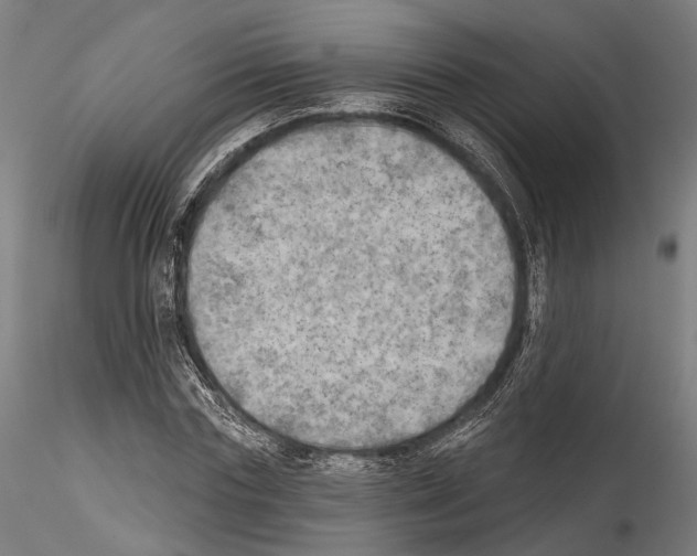 X0000114570827200911301309