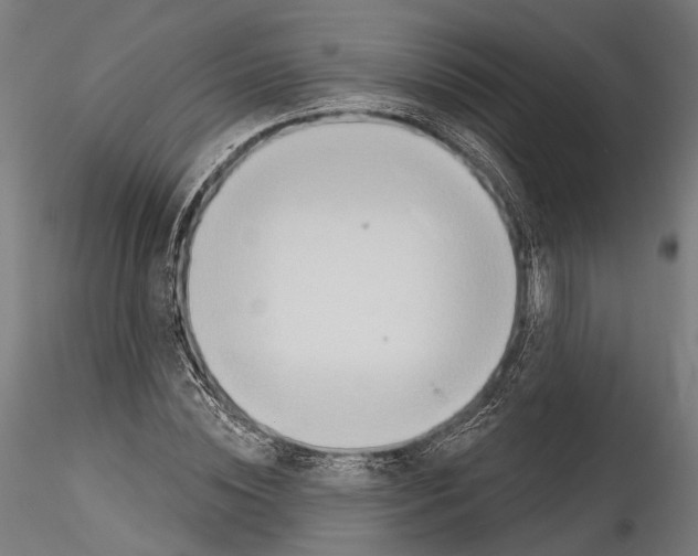 X0000114570828200911301309