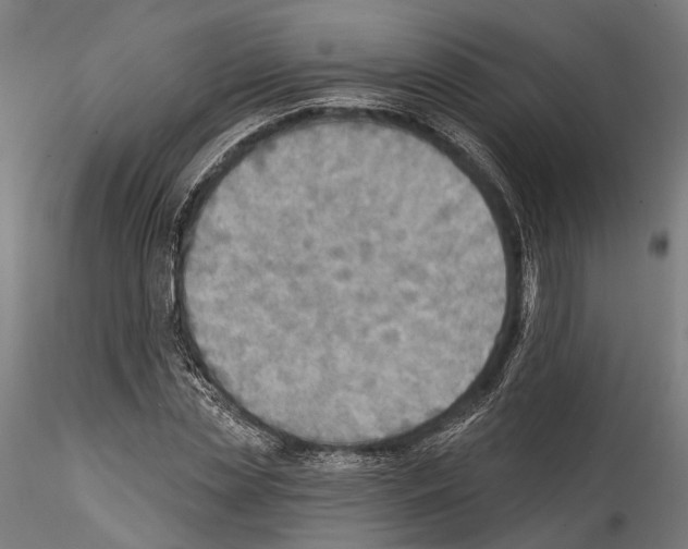 X0000114570829200911301309