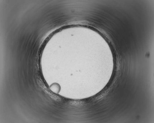 X0000114570830200911301309