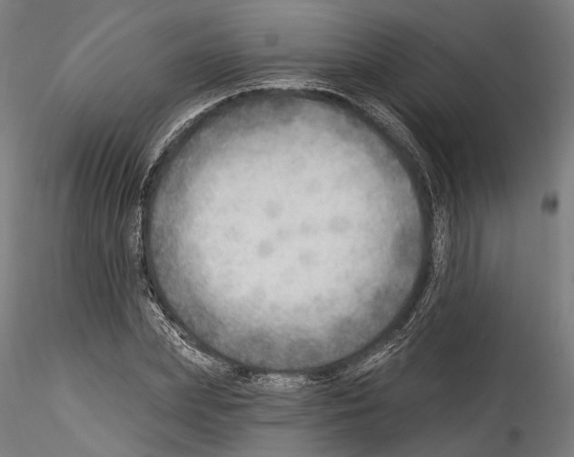 X0000114570831200911301309