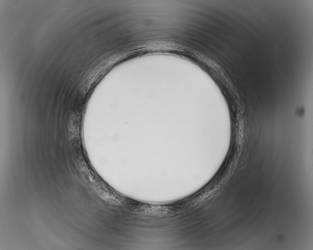 X0000114570833200911301309