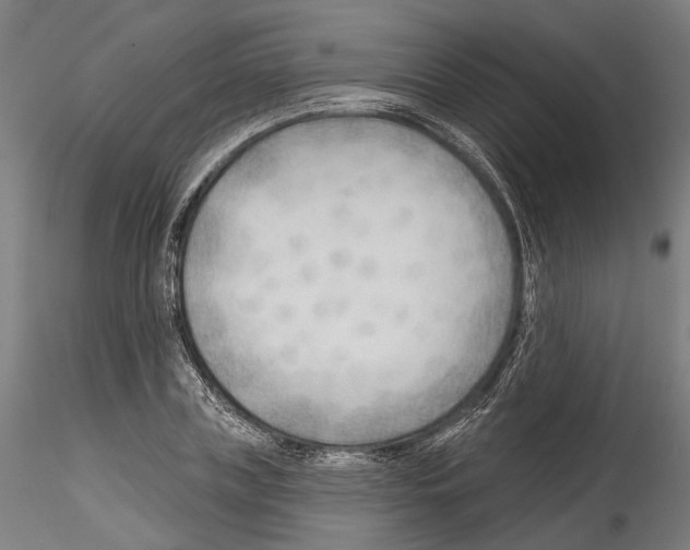 X0000114570835200911301309