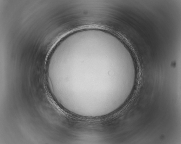 X0000114570836200911301309