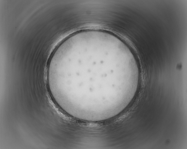 X0000114570839200911301309