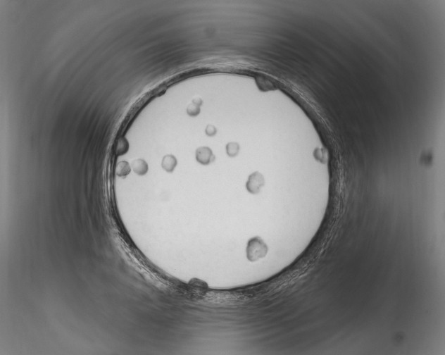 X0000114570840200911301309