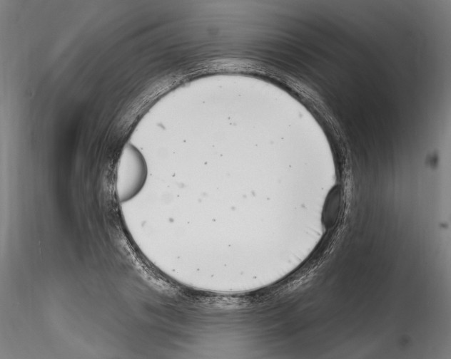 X0000114570841200911301309