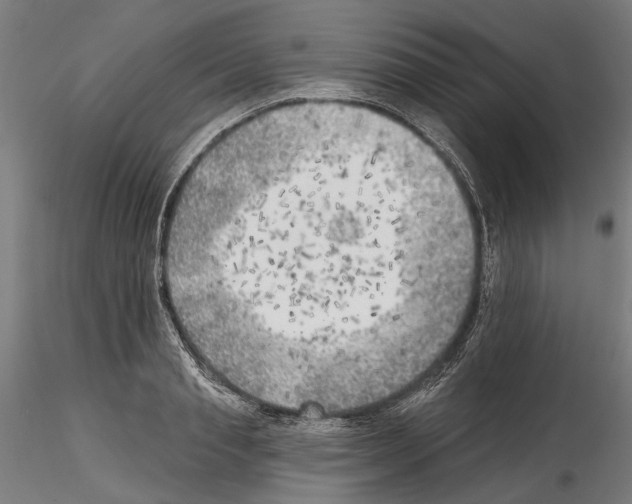 X0000114570845200911301309