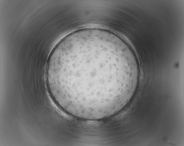 X0000114570847200911301309