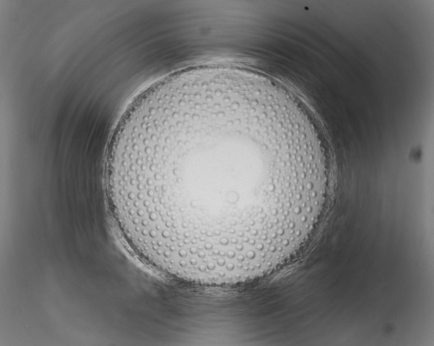 X0000114570848200911301310