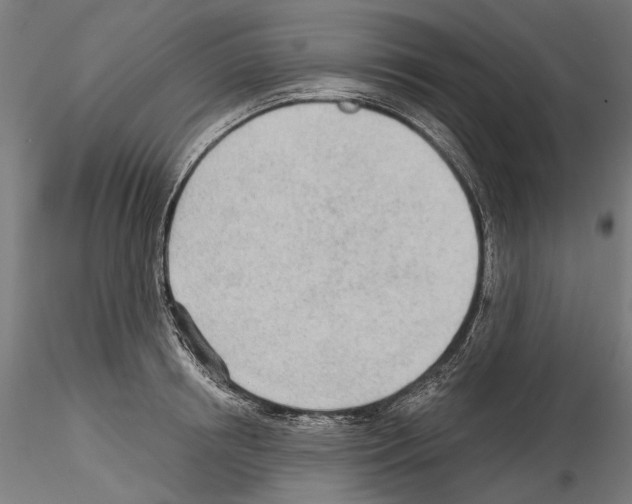 X0000114570850200911301310