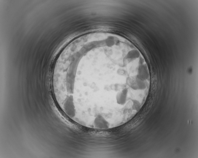 X0000114570851200911301310