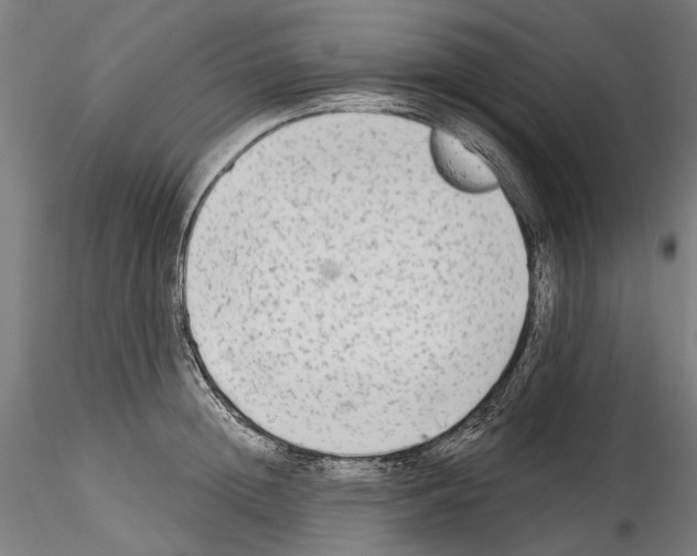 X0000114570852200911301310