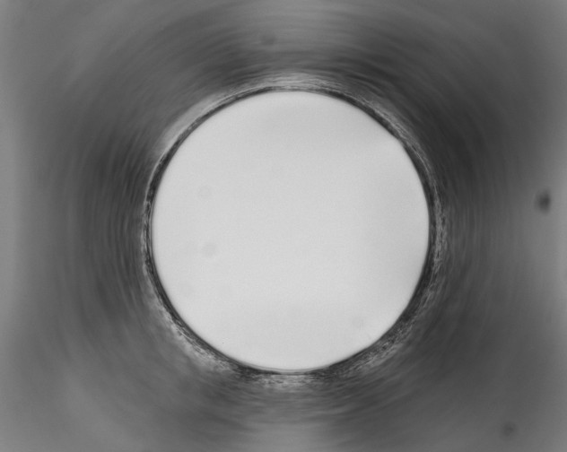 X0000114570853200911301310