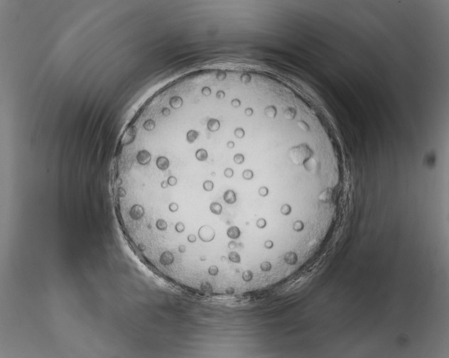 X0000114570855200911301310