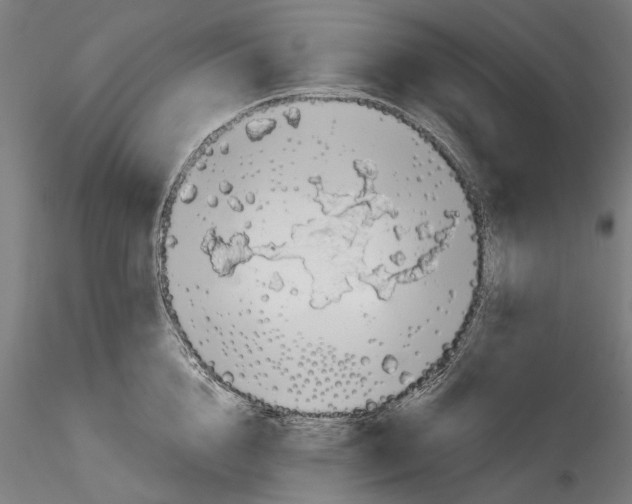 X0000114570856200911301310