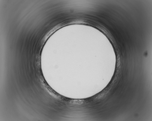 X0000114570858200911301310