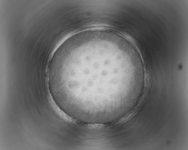 X0000114570859200911301310