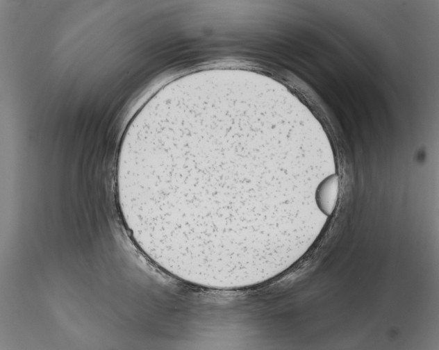 X0000114570860200911301310