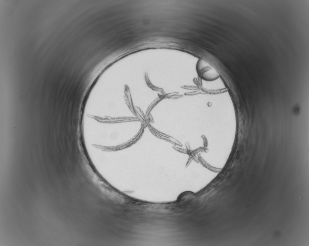 X0000114570861200911301310