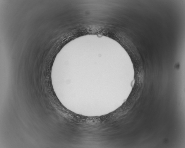 X0000114570865200911301309