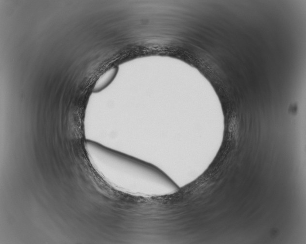 X0000114570868200911301309