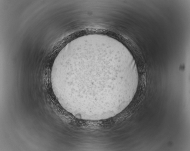 X0000114570870200911301309