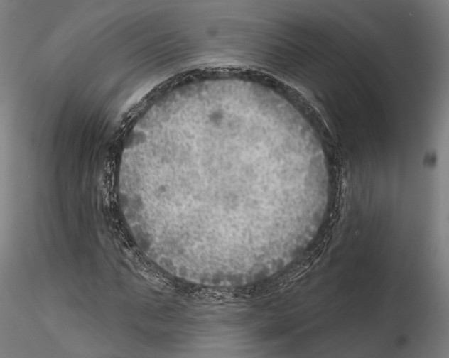 X0000114570871200911301309