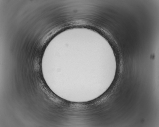 X0000114570873200911301309