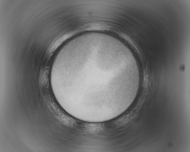 X0000114570874200911301309